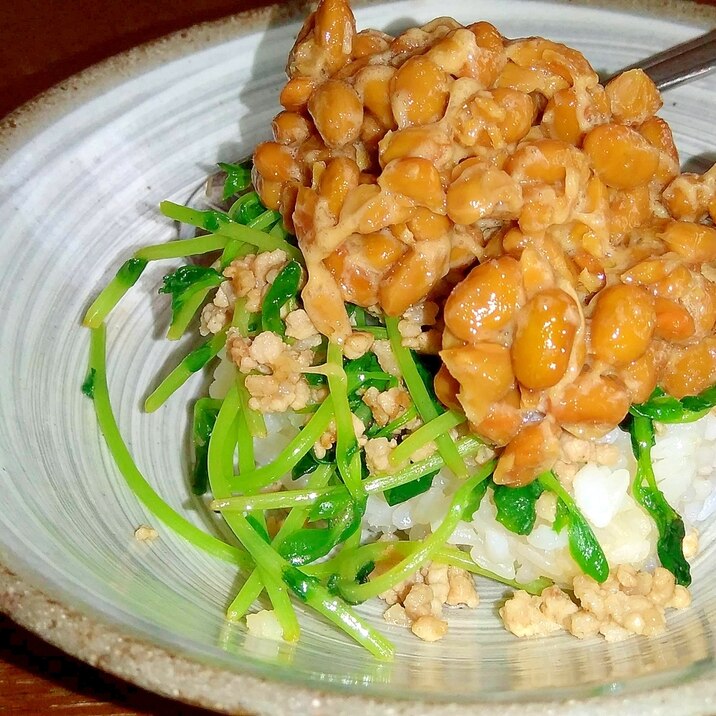 豆苗と鶏ひき肉、納豆の丼
